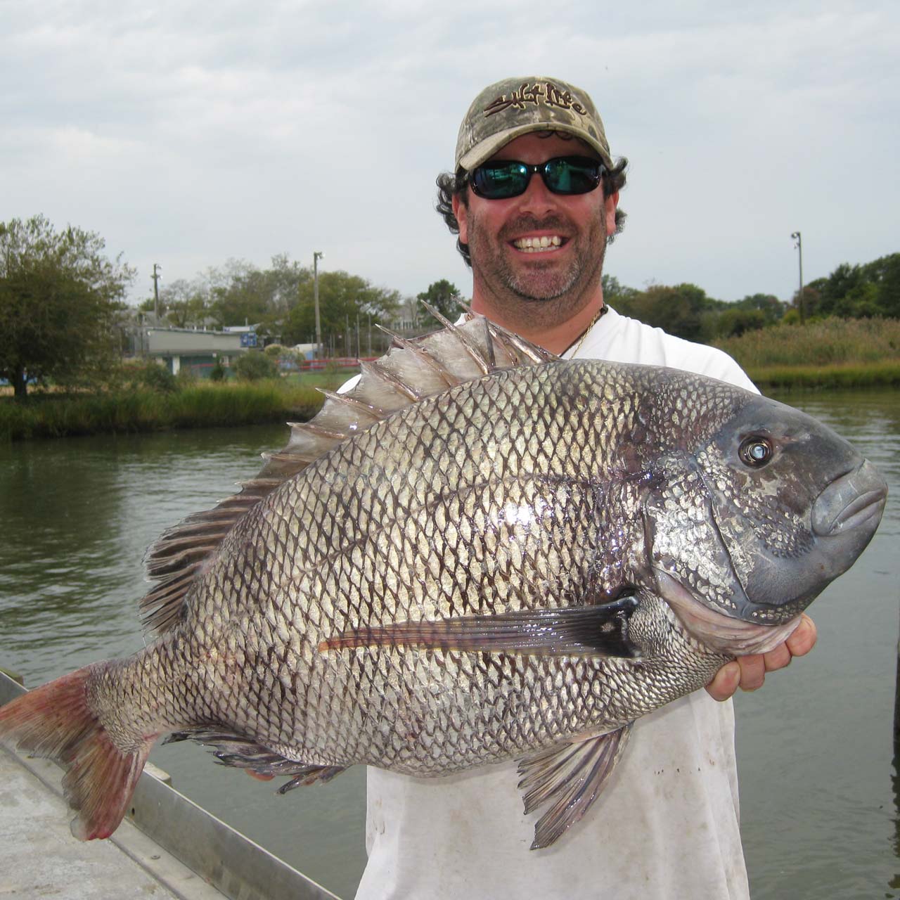 Look at This Enormous Fish Someone Caught in Delaware